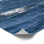 アラスカのザトウクジラ ポスター (角)