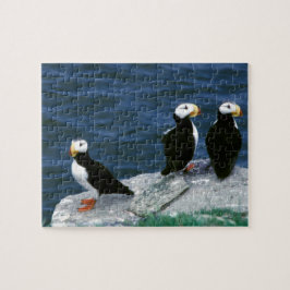 アラスカのツノメドリによって羽をつけられるカラフルな鳥 ジグソーパズル