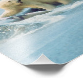 アラスカのノースゲレンデ。シロクマUrsus フォトプリント (角)