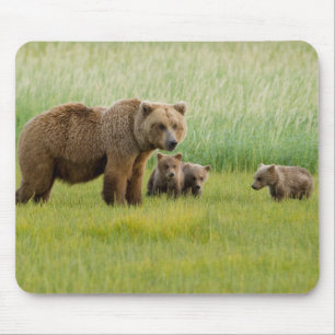 アラスカのブラウンベアと子グマのいる牧草地 マウスパッド