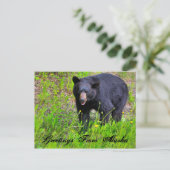 アラスカのポストカードからの挨拶 ポストカード (スタンド正面)