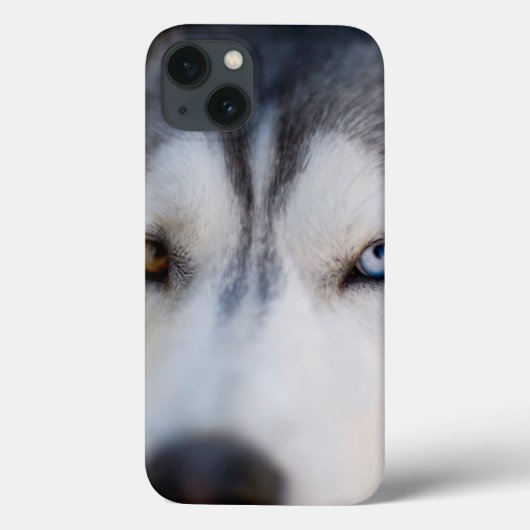 アラスカのマラミュートの閉じ込めたストイック視線 Case-Mate iPhoneケース (裏面)