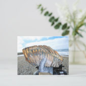 アラスカのマンモス歯09 ポストカード (スタンド正面)