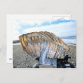 アラスカのマンモス歯09 ポストカード (正面/裏面)