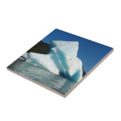 アラスカのメンデンホール湖の氷山 タイル (側面)