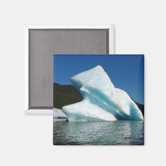 アラスカのメンデンホール湖の氷山 マグネット (正面/裏面)