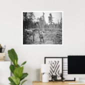 アラスカのランバージャック1916 ポスター (ホームオフィス)