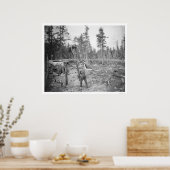 アラスカのランバージャック1916 ポスター (キッチン)