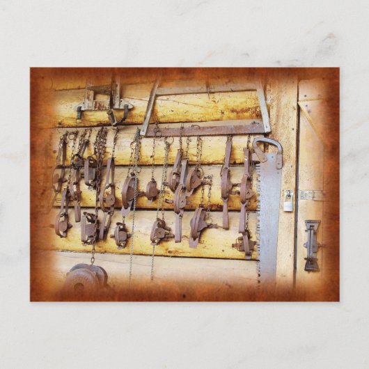 アラスカの動物のトラップ ポストカード (正面)