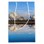 アラスカの反射 ミディアムペーパーバッグ (正面)