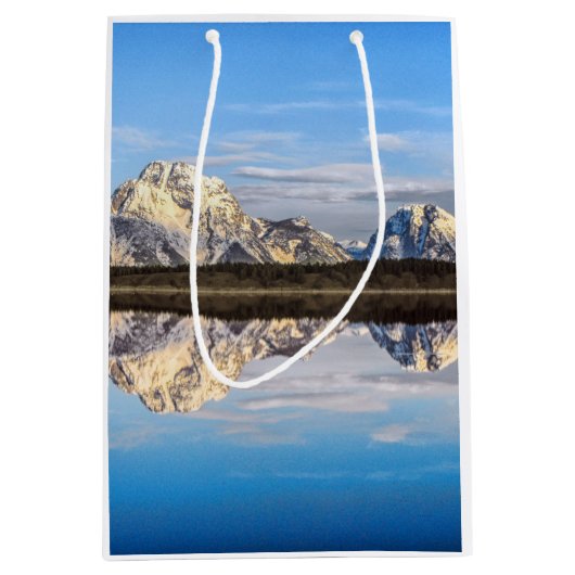 アラスカの反射 ミディアムペーパーバッグ (正面)