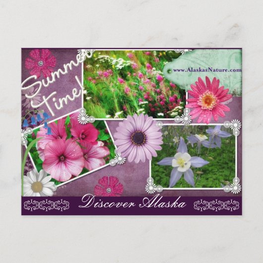アラスカの夏の時間 ポストカード (正面)