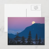 アラスカの夜明け ポストカード (正面/裏面)