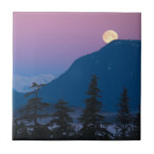 アラスカの夜景 タイル (正面)