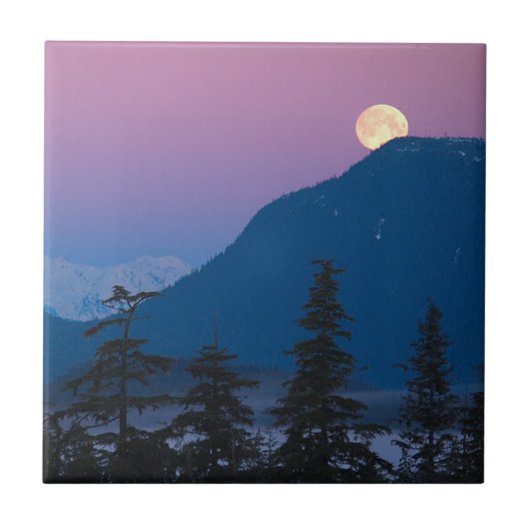 アラスカの夜景 タイル (正面)