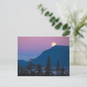 アラスカの夜景 ポストカード (スタンド正面)