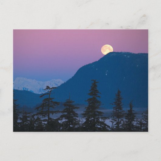 アラスカの夜景 ポストカード (正面)