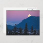 アラスカの夜景 ポストカード (正面/裏面)