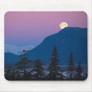 アラスカの夜景 マウスパッド