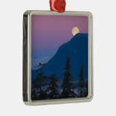 アラスカの夜景 メタルオーナメント (右)
