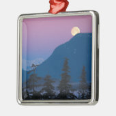 アラスカの夜景 メタルオーナメント (左)