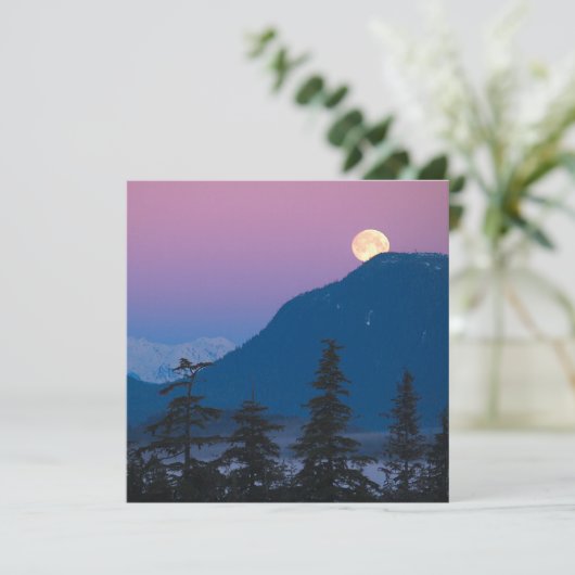 アラスカの夜景 招待状 (スタンド正面)