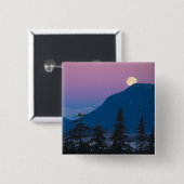 アラスカの夜景 缶バッジ (正面&裏面)