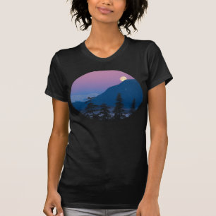 アラスカの夜景 Tシャツ