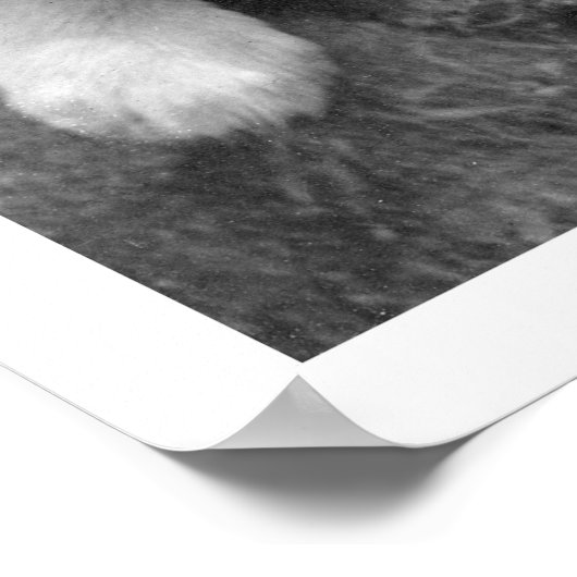 アラスカの子犬1921 ポスター (角)