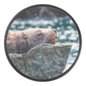アラスカの復活の湾のアシカ アイスホッケーパック (正面)