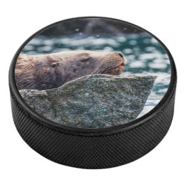 アラスカの復活の湾のアシカ アイスホッケーパック