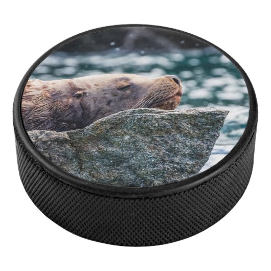 アラスカの復活の湾のアシカ アイスホッケーパック (3/4)