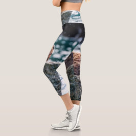 アラスカの復活の湾のアシカ カプリレギンス