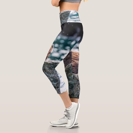 アラスカの復活の湾のアシカ カプリレギンス (左)