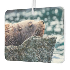 アラスカの復活の湾のアシカ カーエアーフレッシュナー