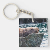 アラスカの復活の湾のアシカ キーホルダー (正面)
