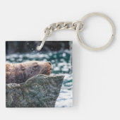 アラスカの復活の湾のアシカ キーホルダー (裏面)