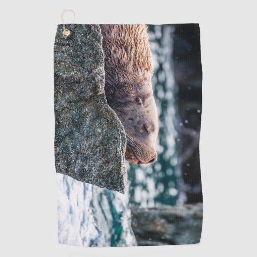 アラスカの復活の湾のアシカ ゴルフタオル (正面)