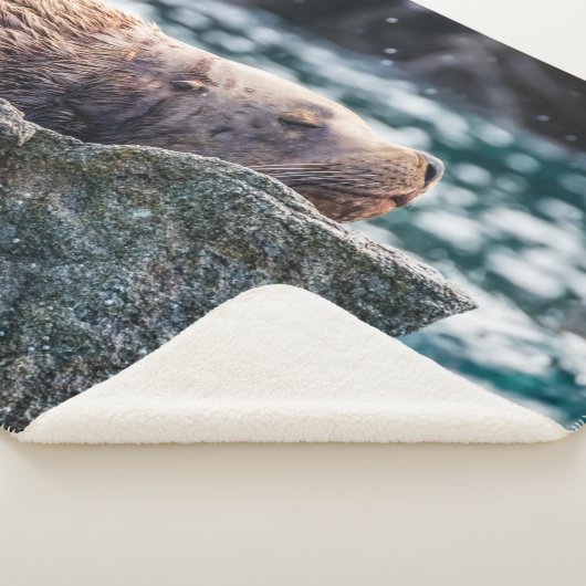 アラスカの復活の湾のアシカ シェルパブランケット (3/4)