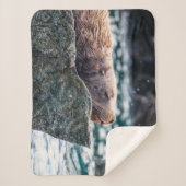アラスカの復活の湾のアシカ シェルパブランケット (正面)
