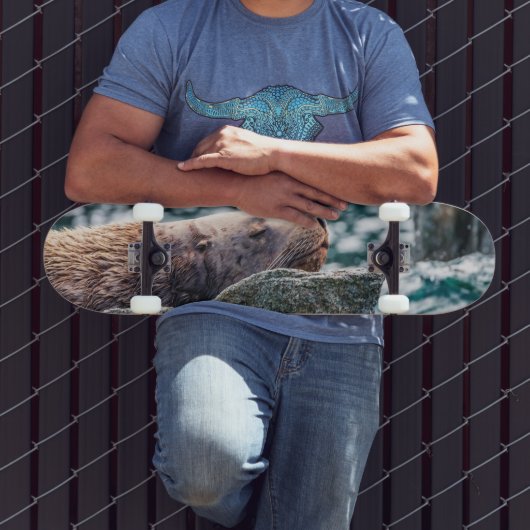 アラスカの復活の湾のアシカ スケートボード (室外3)