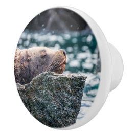 アラスカの復活の湾のアシカ セラミックノブ