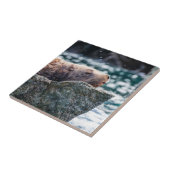 アラスカの復活の湾のアシカ タイル (側面)