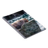 アラスカの復活の湾のアシカ ノートブック (右側)