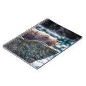 アラスカの復活の湾のアシカ ノートブック (左側)