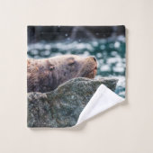 アラスカの復活の湾のアシカ バスタオルセット (ウォッシュタオル)