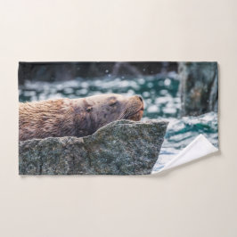 アラスカの復活の湾のアシカ バスタオルセット