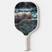 アラスカの復活の湾のアシカ ピックルボールラケット (正面)