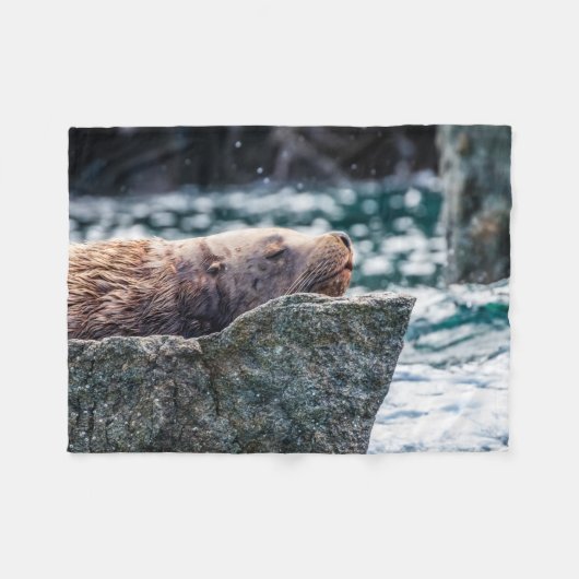 アラスカの復活の湾のアシカ フリースブランケット (正面(横))