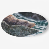 アラスカの復活の湾のアシカ ペーパープレート (アングル)